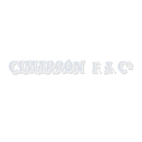 1878 Coach Gun 12 ga., 20" Barrel, Standard Blue